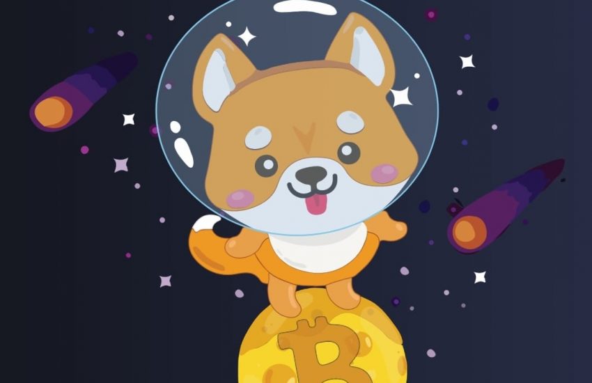 bitcoin inu token