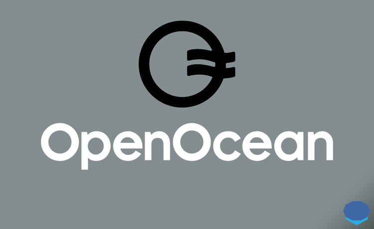 How to use OpenOcean?
