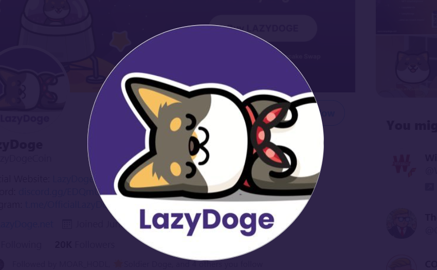 lazydoge token