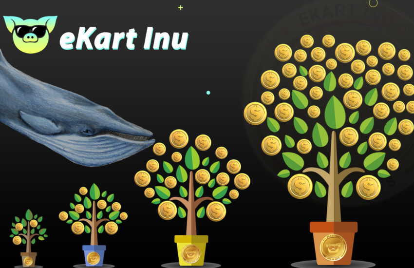 Los primeros poseedores de Ekart INU pronto se convertirán en millonarios