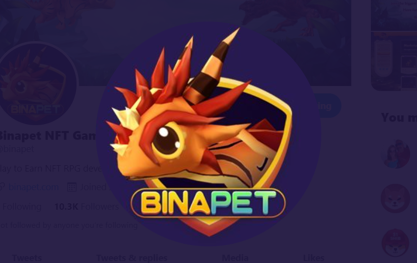 binapet game