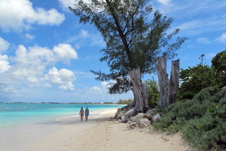 Dos turistas caminan por una playa de arena blanca bordeada de árboles y arbustos.