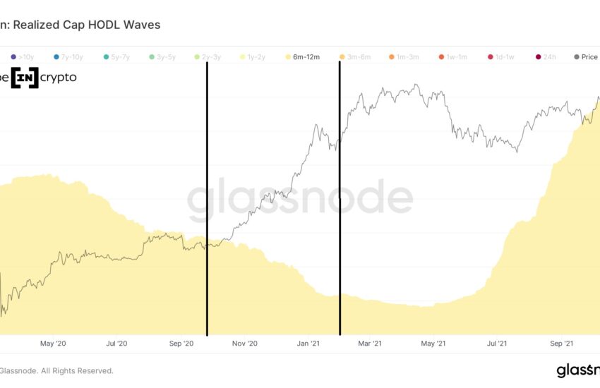 Análisis en cadena de Bitcoin (BTC): las ondas HODL muestran una acumulación continua