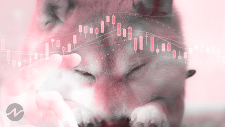 DOGE Shows Bearish Trend – Will it Recover and Reach Above $0.28