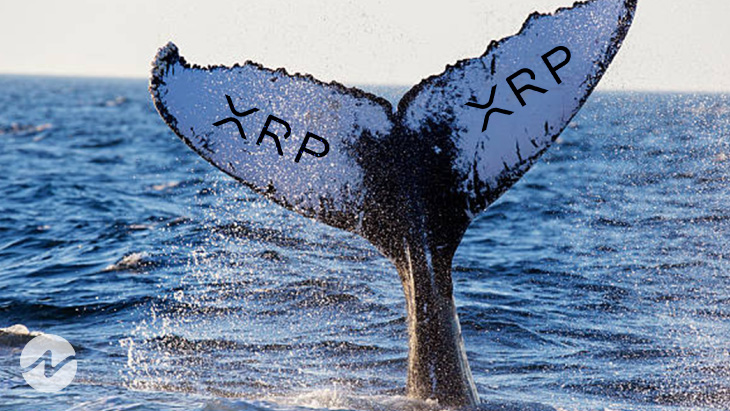 Whale Alert- 10,000,000 XRP Transferred to an Unknown Wallet