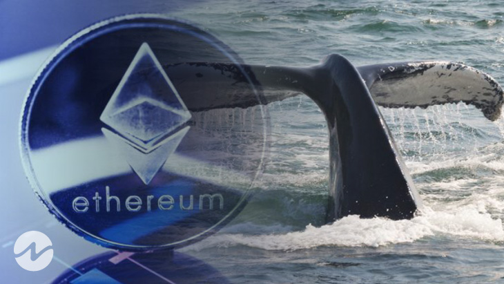 Whale Alert- 20,000 ETH Transferred to an Unknown Wallet