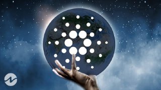 Cardano (ADA) Price Plunges, Analyst Predicts Corrective Phase!