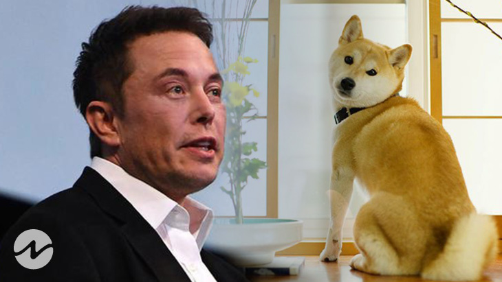 Elon Musk Joins To Alert Dogecoin Holders Regarding Leveraged Trading
