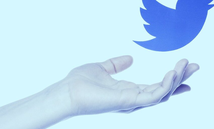 Esta semana en Crypto Twitter: la discordia sale de las criptomonedas a medida que Twitter entra en acción