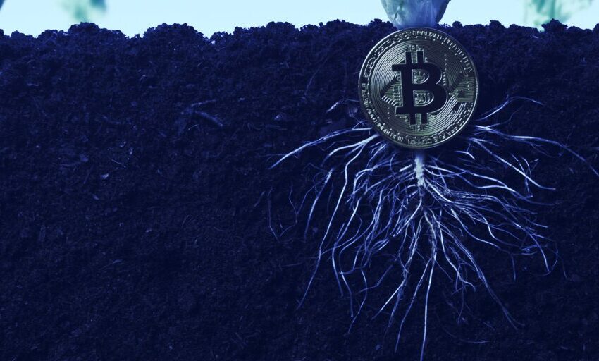 La mayor actualización de Bitcoin desde 2017: Taproot acaba de lanzarse