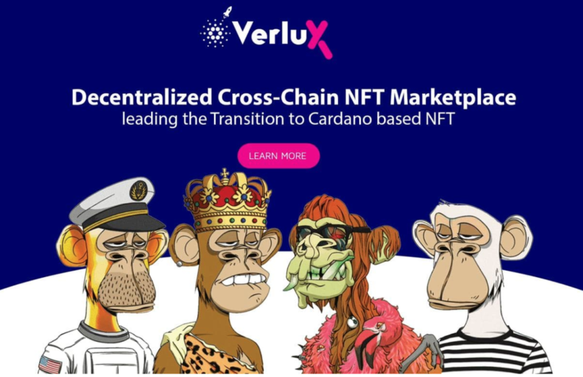 La venta de semillas del mercado NFT de cadena cruzada de Verlux alcanza el 30%