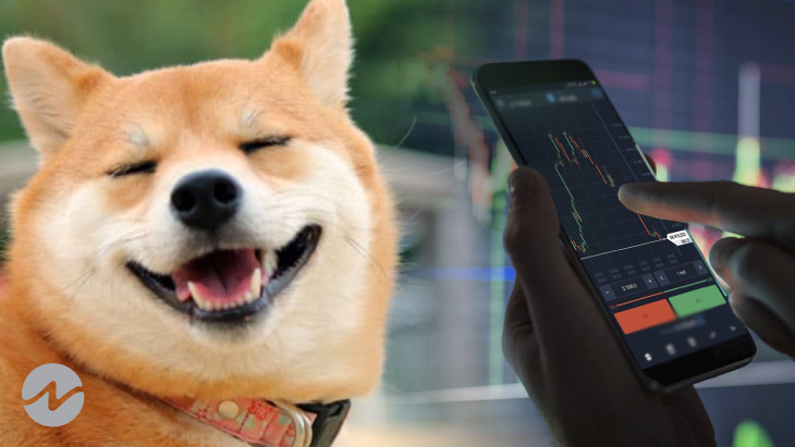 Top 3 Trending Crypto Spotlights Right Now Are DOGEDASH, BabyDeFido, PIZA