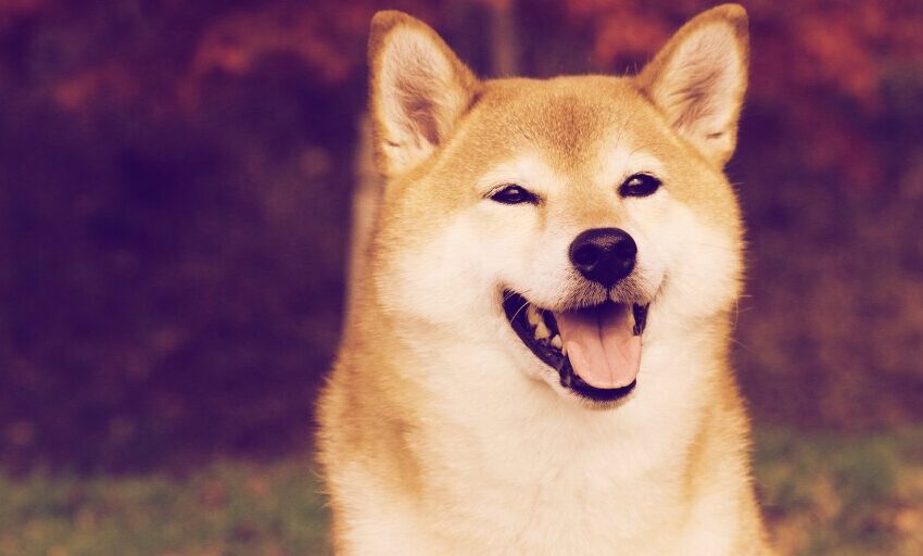 Olvídese de Dogecoin: SHIB, ELON y SAMO fueron las principales monedas meme en 'Uptober'