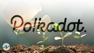 Polkadot (DOT) Goes to Public’s Opinion for Parachain