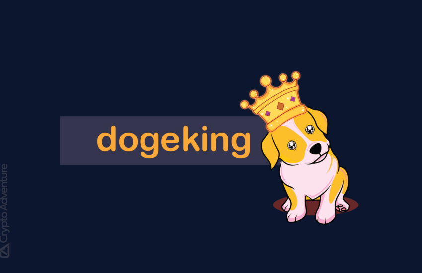 Revisión de DogeKing (DOGEK): características, preventa, tokenomics