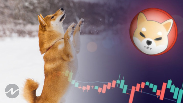 Shiba Inu (SHIB) All Set for a Free Fall? Or Will It Sustain?