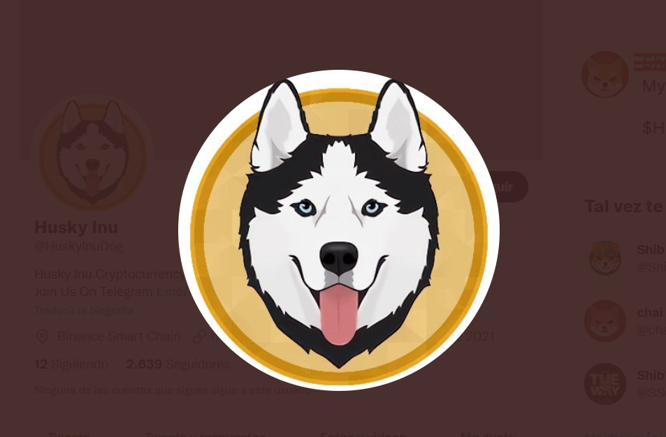 husky crypto price