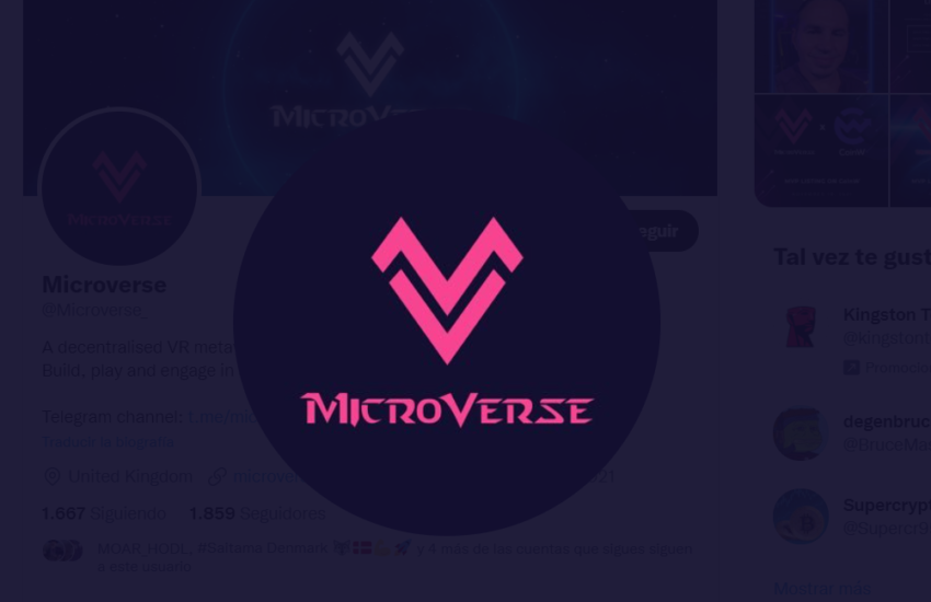 Microverse (MVP) Token