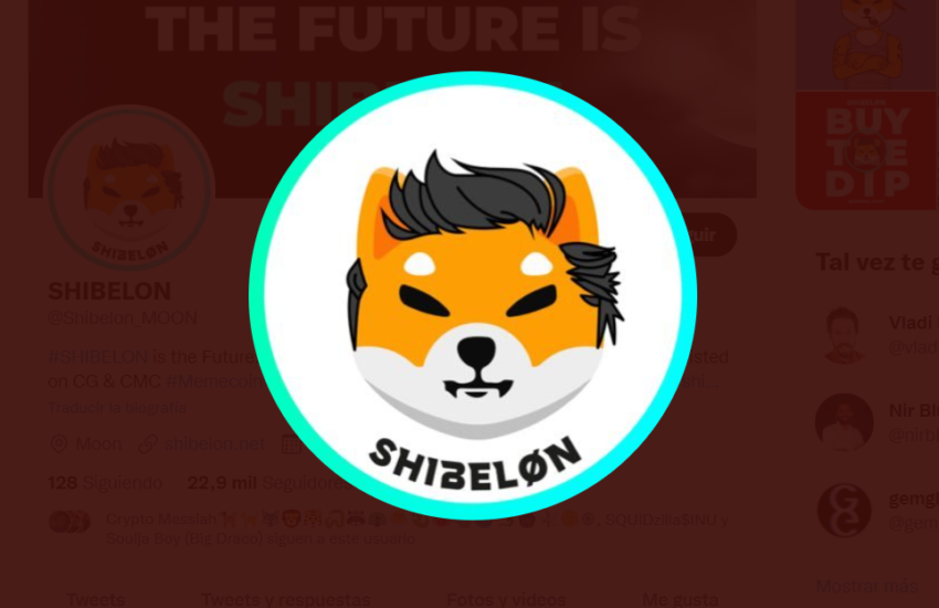 ShibElon (SHIBELON) Token