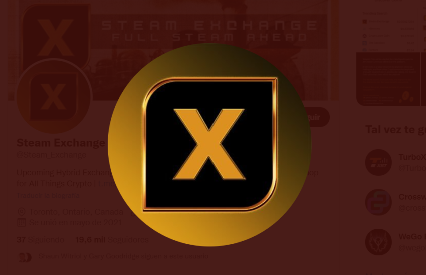 Steam Exchange (STEAMX) Token