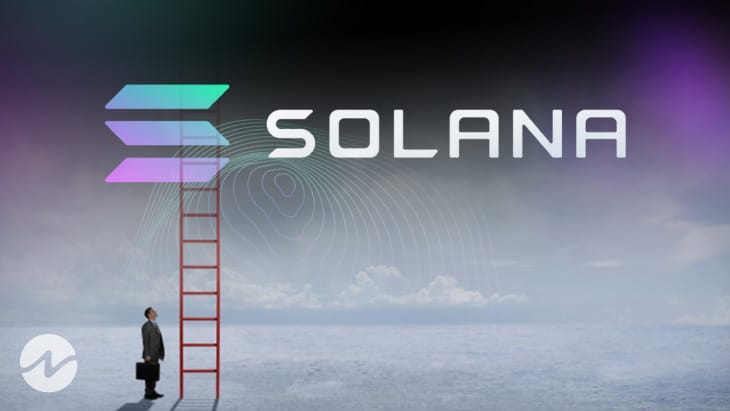 Solana (SOL) Price Striving Hard Despite Bearish Divergence!