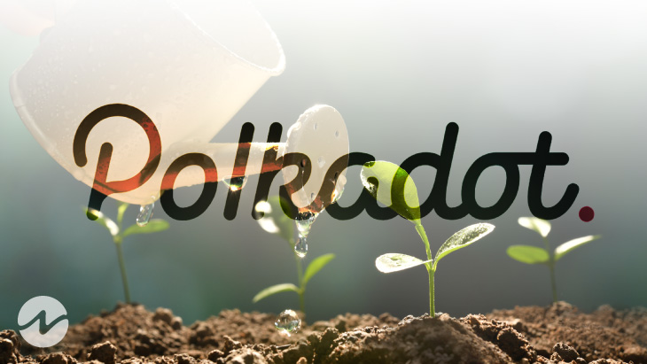 Polkadot (DOT) to Maintain Momentum and Find New Highs Soon!