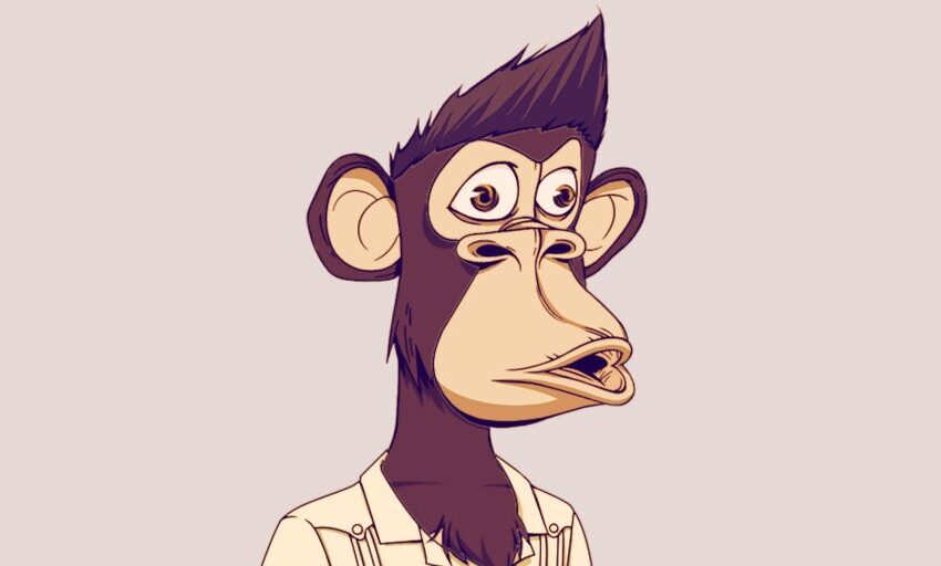 ¿Por qué Neeraj se equivoca con mi mono aburrido?