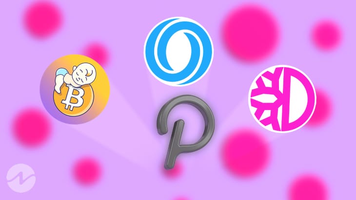 3 de los ganadores de Polkadot Blockchains: BABY, DFI y ROSE
