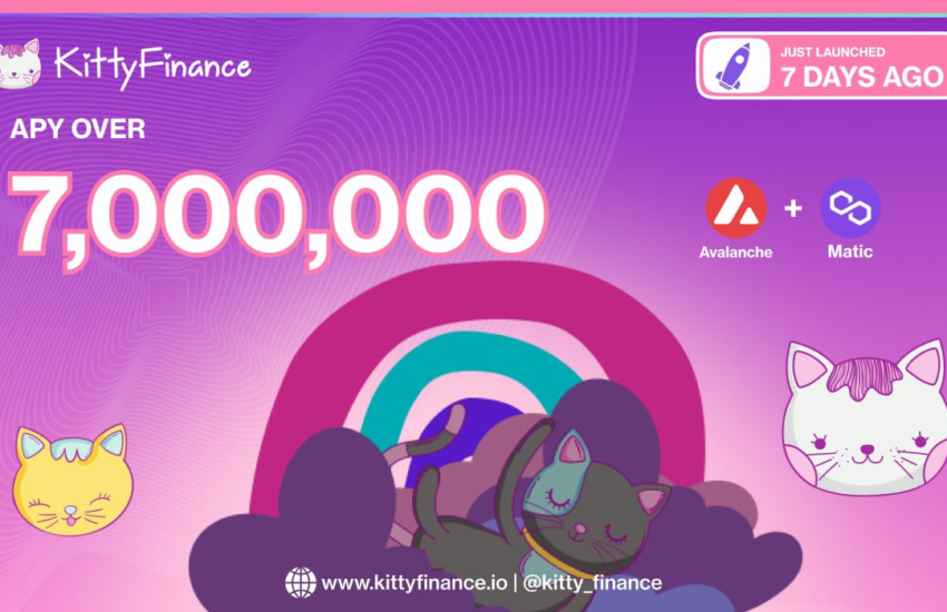 Se espera que Kitty Finance supere los $ 50 millones de TVL en un mes
