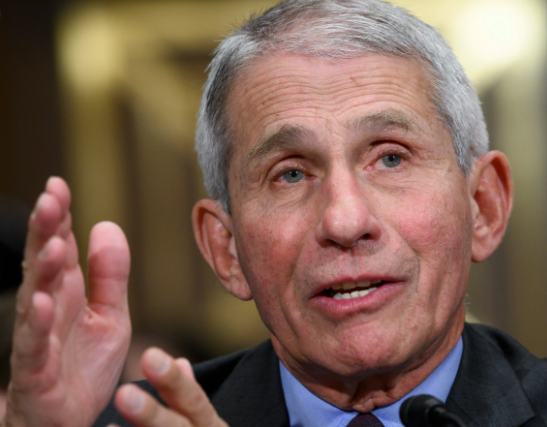 Anthony Fauci is director of the National Institute of Allergy and Infectious Diseases and the Chief Medical Advisor to the US President.