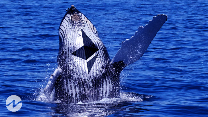 Whale Alert Traces 63,422 ETH Transferred Through Anonymous Wallets