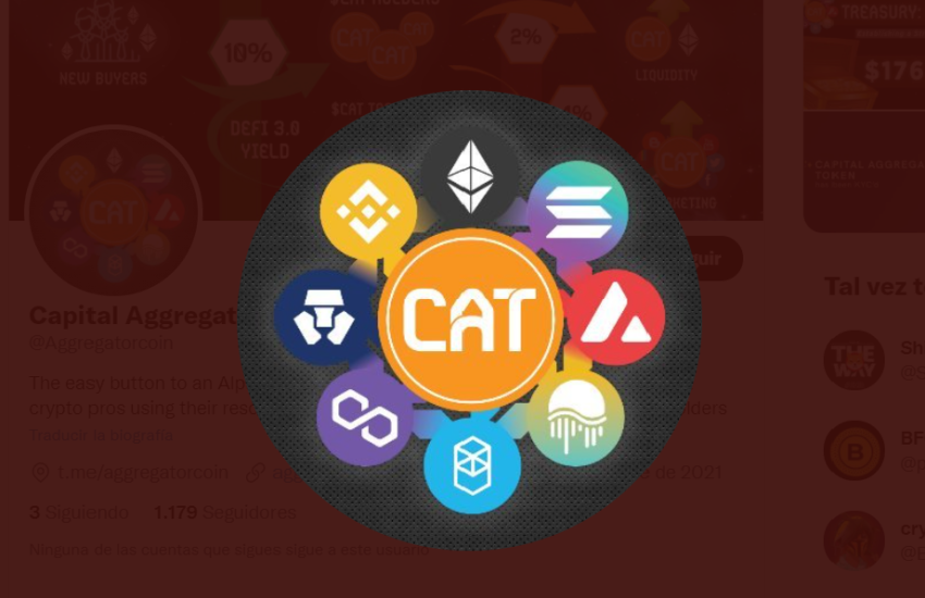 Capital Aggregator Token (CAT)