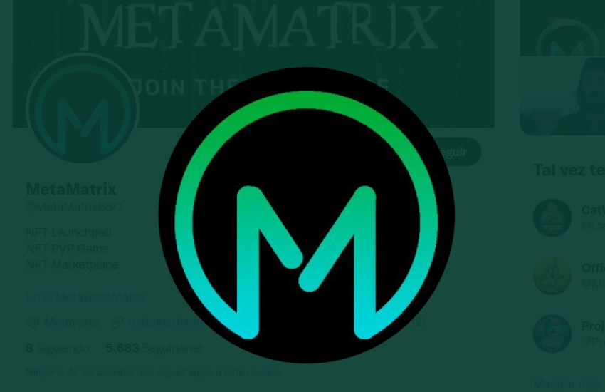 MetaMatrix (MTX) Token