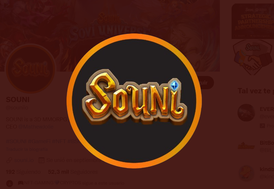 souni crypto