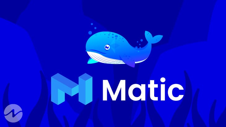 Whale Alert: 3 Million MATIC Token Bought By ETH Whale