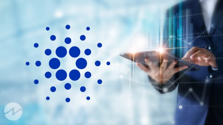 Cardano Ranks at the Top With Most Developer Activity in 2021
