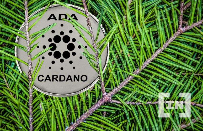 La Fundación Cardano planta un millón de árboles
