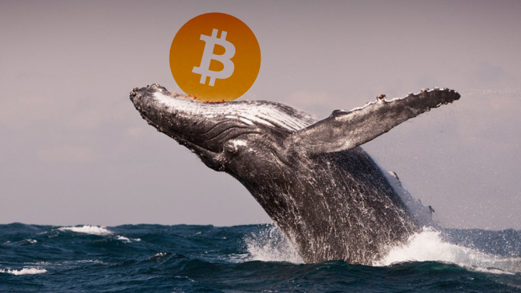 Third Largest Bitcoin (BTC) Whale Bought 551 BTC ($24M) Amid Fall