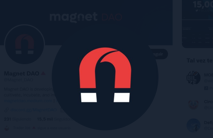 Magnet DAO (MAG) Token