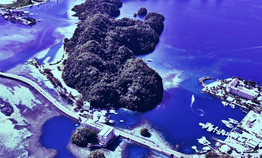 ¿Por qué la nación isleña de Palau se está volviendo criptográfica?