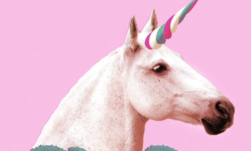 Empresa de datos Ethereum Dune Analytics logra estatus de unicornio con $69.420.000 de Serie B