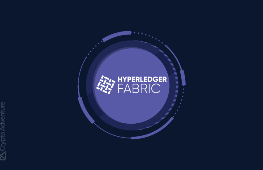 Hyperledger Fabric - ¿Qué es y cómo funciona?