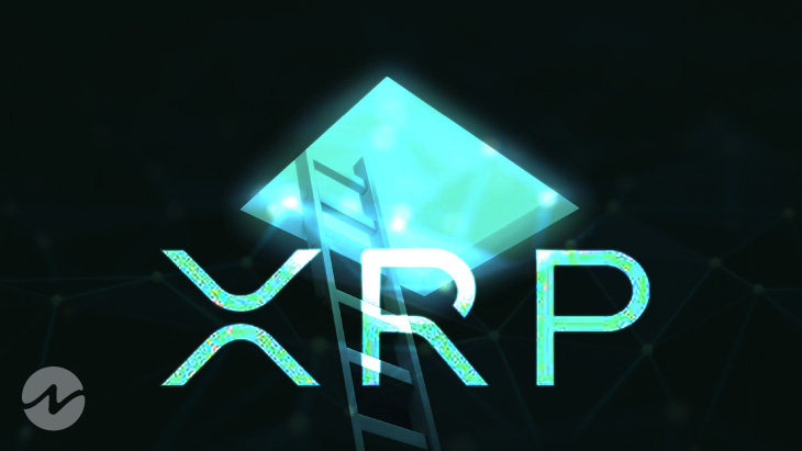 XRP Blasts off to More than 17% Gains in 24 Hours Upon Bullish Market