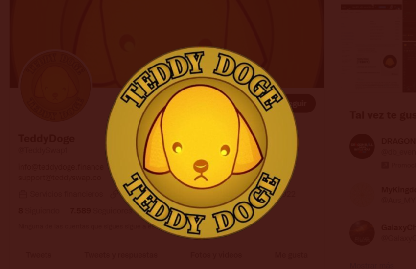 Teddy Doge (TEDDY) Token