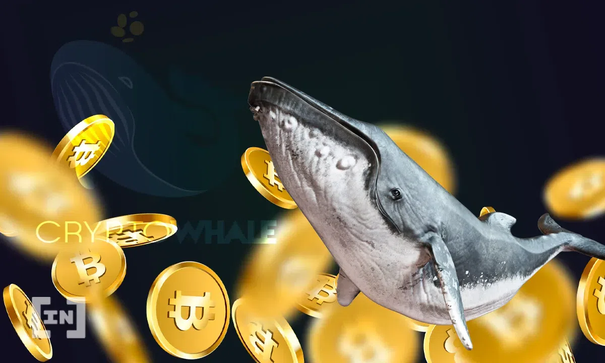ballena Bitcoin Acumulación de ballenas