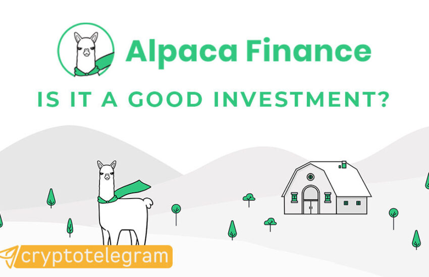 Alpaca Finance Good Investment