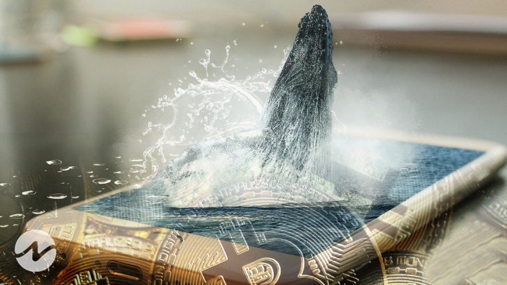 Address Containing 489 Bitcoin (BTC) Finally Activated After 11.4 Years