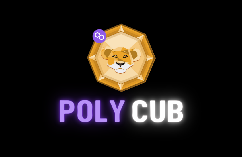 La plataforma PolyCub ofrece APY masivo a través de un proceso de devolución seguro y automatizado
