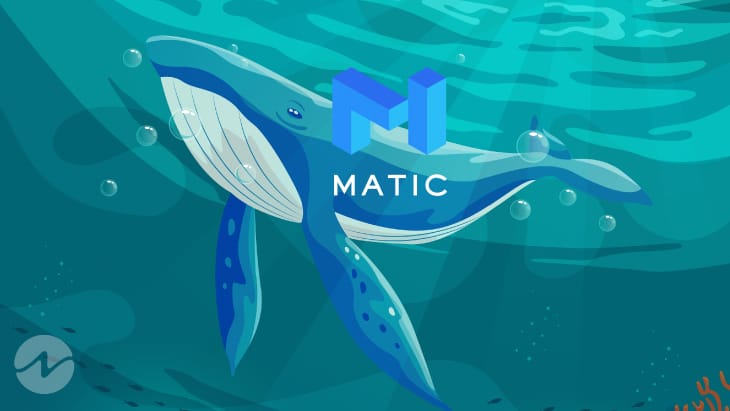 Polygon (MATIC) Large Whale Transactions Surge by 105% as per Reports