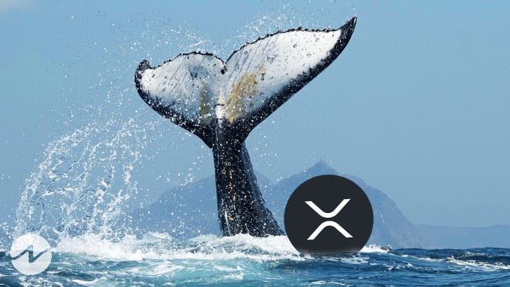Alerta de ballena: 30,000,000 XRP transferidos de billetera desconocida a CoinsPh